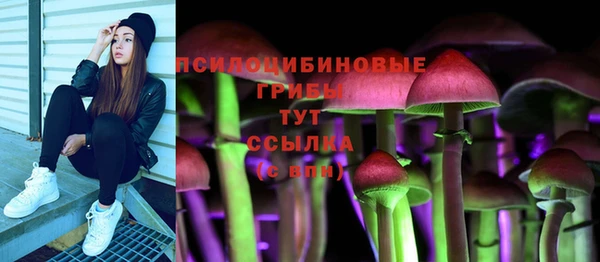 гидра Алзамай