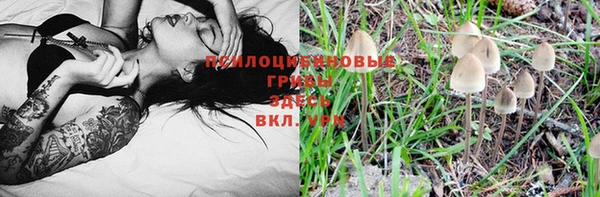 гидра Алзамай
