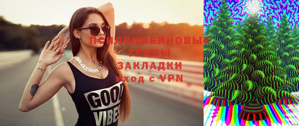 гидра Алзамай