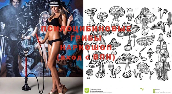 гидра Алзамай