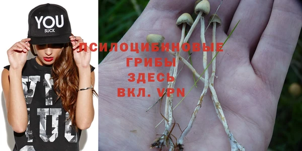 гидра Алзамай
