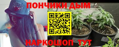 PSILOCYBIN Кимры