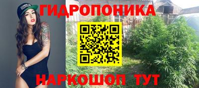 PSILOCYBIN Кимры