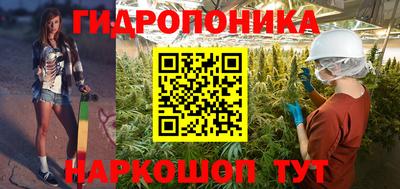 бутират Кингисепп