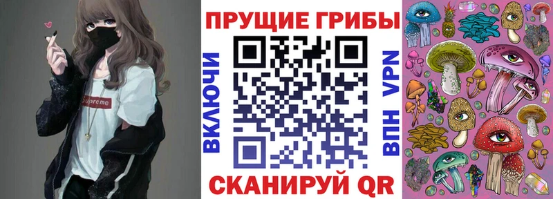 Псилоцибиновые грибы Psilocybine cubensis  где найти   Сосновый Бор 