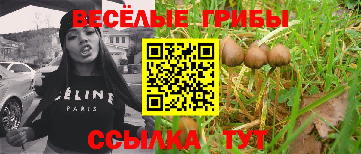 Галлюциногенные грибы Psilocybe  Вход с VPN  Сосновый Бор 