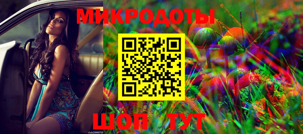 Галлюциногенные грибы Psilocybine cubensis Сосновый Бор