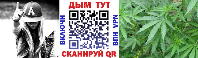 МАРИХУАНА ГИДРОПОН  наркотики  Сосновый Бор 